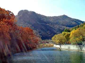 管家打一正确生肖最佳答案，屋面 楼板 墙体裂缝